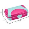 imageIts Academic Hard Pencil Case Durable Plastic Pencil Box KidFriendly Design Pink ampamp BluePink  1Pack